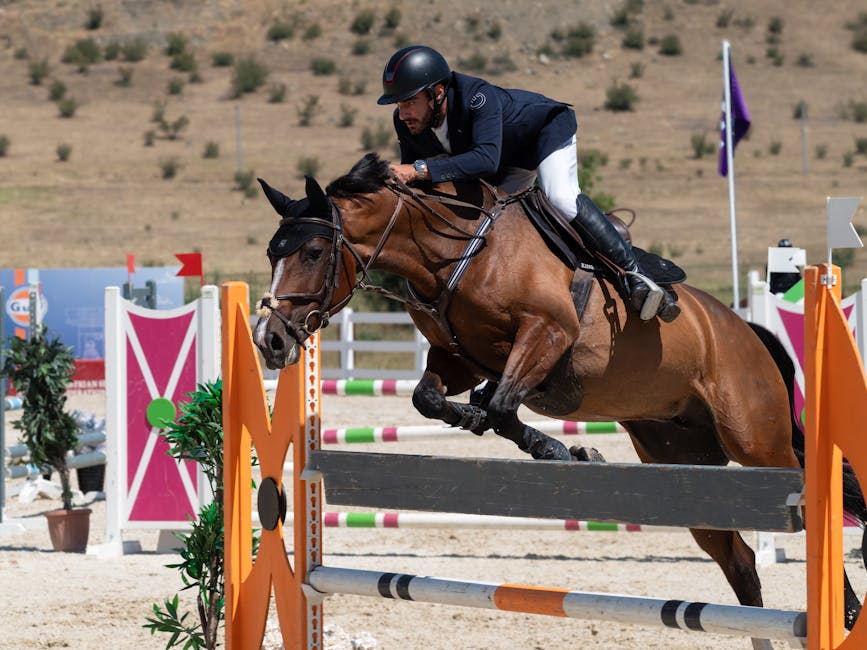 Reitstiefel mit Glitzer